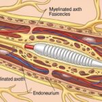 Nerwey: The Hidden Gem of the Digital World